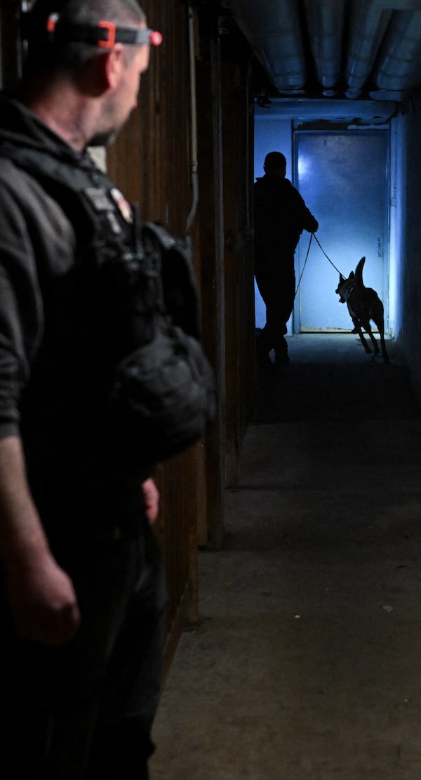 A police canine unit checks for drugs in Chenove last year, part of a co-ordinated sweep in several French cities that led to hundreds of arrests. Cannabis and cocaine made up most of the seized contraband; large-scale fentanyl busts like those in North America are rare in Europe.