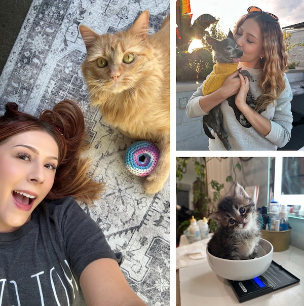 Garbanzo the cat, Mr. Guggenheim the Chiweenie and foster kitten Arborio are some of the animals you’ll find on the social-media feeds of Rachael Rae Robertson from Los Angeles.