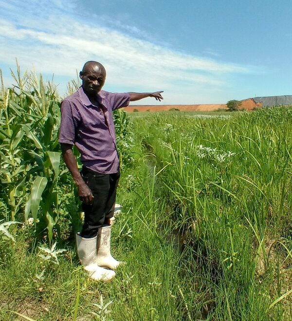 Timothy Chakawa Kapili, whose farm is across a small river from a copper mine run by Rongxing Investments, says waste leaks from the Chinese-owned mine have damaged his crops.