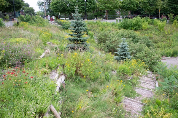 The Darlington Corridor, Montreal. Courtesy of Corridor écologique Darlington.