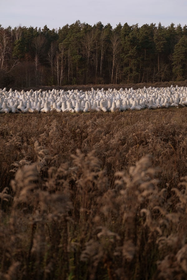 Along Poland's border with Russia’s Kaliningrad Oblast, concrete anti-tank hedgehogs and cement structures fortify a portion of the Eastern Shield, an 800 kilometre-long defence line along its northern and eastern borders.