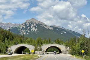 A wildlife crossing bridge over the Trans-Canada Highway in Alberta.