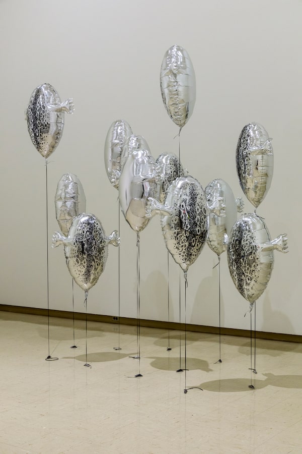 Couzyn van Heuvelen, Bait, 2021. Installation view: Owens Art Gallery, Mount Allison University, Sackville, 2021. Courtesy the artist and Owens Art Gallery, Sackville. Photo: Roger Smith.
Arctic/Amazon advance images Power Plant