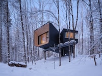 Like many hotels in this list, Fort Treehouse Hartwood is all about the experience.