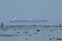 Tourists watch marine life, with the MT Desert Kite oil tanker carrying Russian oil in the background, at Narara Marine National Park in the Arabian Sea, Gujarat, India March 11 , 2026. REUTERS/Amit Dave