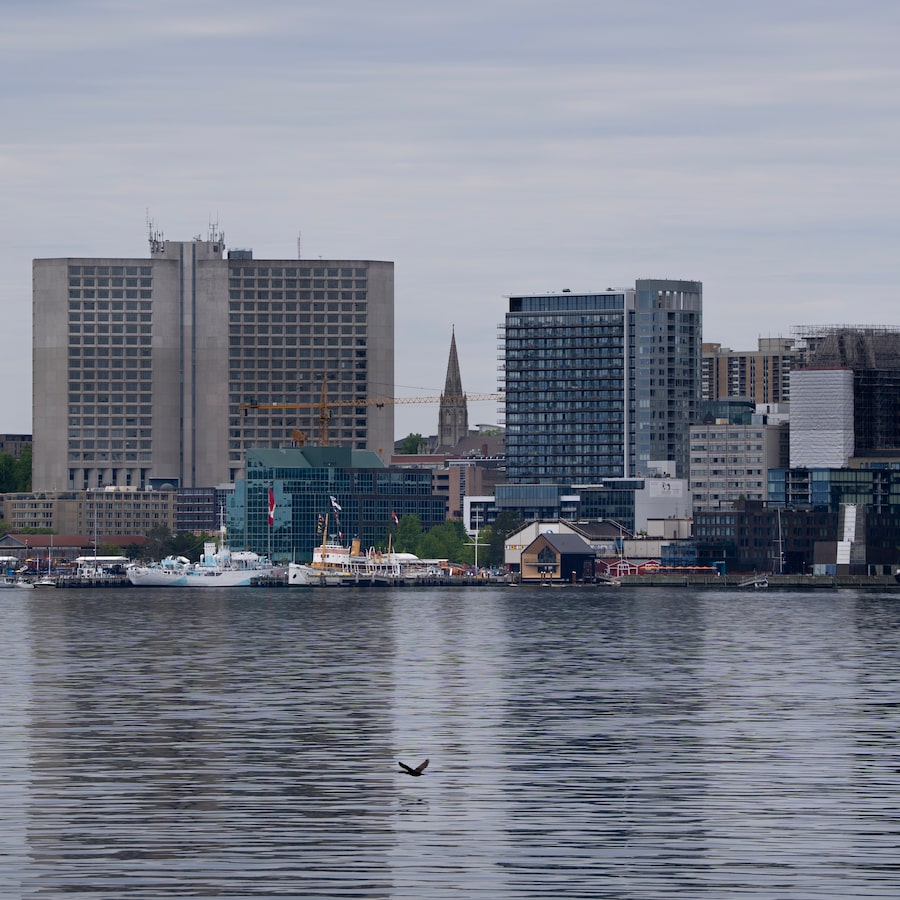 The Halifax skyline is dotted with cranes and construction sites as the city undergoes the largest growth spurt it has seen in years. 