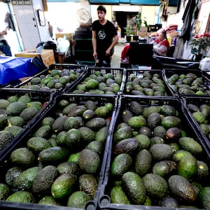 Avocados at the Central de Abastos market in Guadalajara, Jalisco state, Mexico in January, 2025.