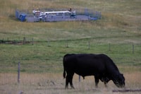 FILE PHOTO: Infrastructure of the Westcoast Transmission System (Westcoast), also known as Enbridge's BC Pipeline, which delivers natural gas to the U.S. Pacific Northwest, is seen in a ranch meadow in Loon Lake, British Columbia, Canada September 29, 2023. REUTERS/Chris Helgren/File Photo