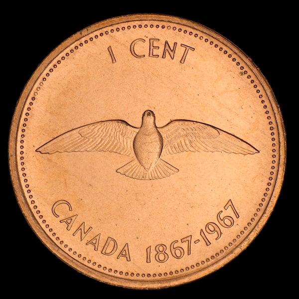 Centennial Coin, Alex Colville, 1 cent, Canada, 1967. The one-cent centennial coin features a frontal view of a rock dove (or common pigeon) in flight. “For this I wished to use a very common bird, but one with symbolic overtones,” said Colville. “I selected the dove (rock dove)—very common, in cities as well as in the country, as the pigeon, and having associations with spiritual values and also with peace.” As the lowest coin denomination, this centennial piece is more frequently found in public circulation than its companions.
credit: Gord Carter / National Currency Collection, Bank of Canada Museum.